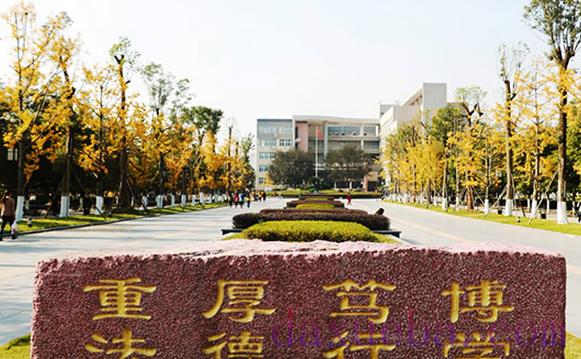 重庆一本大学名单有哪些 一本大学排名及分数线(最新版)